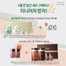 마임(동부지사) 이미지