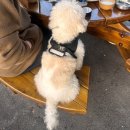 성류굴 관광지 | 성류굴 맛집 호남식당 후기｜울진 여행 코스 추천