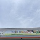 백삼암돼지 이미지