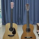 어쿠스틱 기타의 이해 이미지