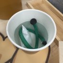 11650-17-196-32 | Dec, Week 4 | 니콜라이 달 박사의 마음을 상상해보며···