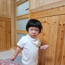 딸부자대게민박 이미지