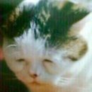 천안역우방아이유쉘아파트 이미지