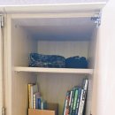 수안보중학교 이미지