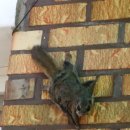 산속골농장 이미지