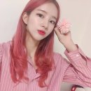 김진아 카카오 검색결과