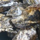 금광수산 이미지