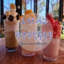광양 카페: 메리시리즈가 유명한 요거프레소 광양우림필유점
