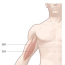 DM휘트니스 이미지