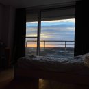 [군인 일기] 인천공항 육군 검역지원단 파견 (ft. 통역장교 임무)