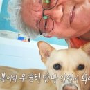 강순옥 농장 네이버블로그