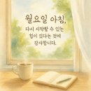 재미로