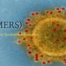 봉덕1동경로당 이미지