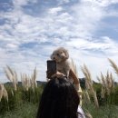 나리 모텔 이미지