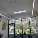 슬기로운공인중개사사무소 | 내 집 마련, 세종부동산 제대로 고르려면? 슬기로운공인중개사사무소 매력 집중 탐구