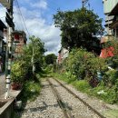 11650-17-108-2 | 대만여행 처음이라면 타이베이 2박3일 후기와 일정 정리