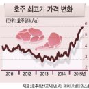 영앤드컴퍼니