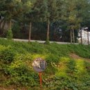 청덕주유소 이미지