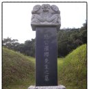 김일손(金馹孫)_7세 (문민공) 이미지