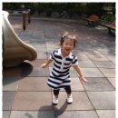상원공원 네이버블로그