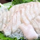 대양 | 만안구 가성비 횟집 안양 대양수산 광어회와 매운탕 솔직 후기