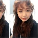 더트랩
