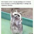 청년떡볶이 이미지