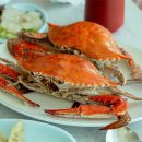 어쭈구리 이미지