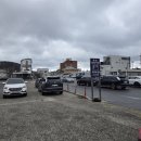 세븐일레븐 울진후포마린점 | 울진 후포항 대게 맛집: "마린수산" 대게 후기