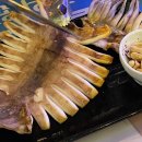 (주)비지에프리테일서면광장점 | 인간은 가을의 무화과다.
