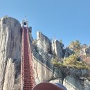 삼선10 이미지