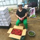 길순농장 이미지