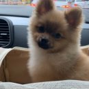 수민동물병원 이미지