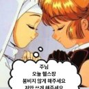 매봉역 헬스장 퓨어짐 1년간 이용후기 : 도곡동 피티샵 폴댄스