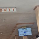 준1 | 🤿2-세부 준투어 내돈내산 후기 1_오슬롭 고래상어, 투말록 폭포