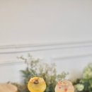 다미토스트 이미지