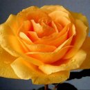 발건강마사지 이미지