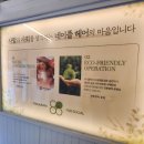 소요미용실 | 광명사거리미용실 네이플헤어 뿌리염색 솔직후기(가격,소요시간)
