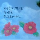 꽃의섬 | 힐링가득 거제도 섬여행 추천 지심도 동백꽃 배편 정보