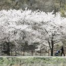 5월에 걷기 좋은길 / 대구 비슬산 옥연지 수변둘레길 이미지