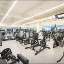 신사 라이크짐 이미지