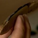 털좀밀개 이미지