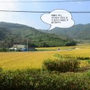삼덕개발 이미지