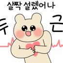성환상회 이미지