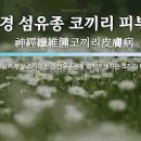 신경섬유종 신경섬유종증 신경섬유종 원인 유형 신경섬유종 신경섬유종증 이미지