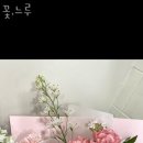꽃;느루 이미지