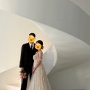 엘로이 | 광주 엘로이 웨딩 포토 드레스 서비스 후기
