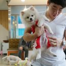 퍼피니스 이미지