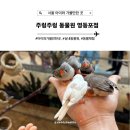 서울 영등포 아이와 가볼만한 곳, 주렁주렁 동물원 영등포점 놀거리 추천
