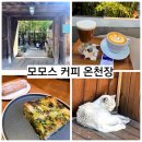 공간 2007 | 세계 100대 카페 선정 부산 카페 모모스커피 본점 후기/온천장 모모스커피 주차정보&amp;웨이팅 영업시간 정보